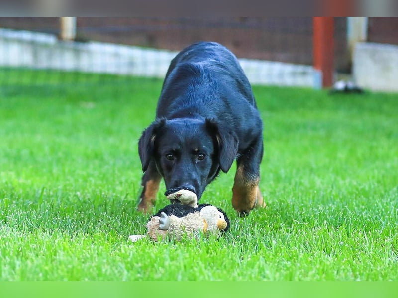 Nisha sucht Familienanschluss