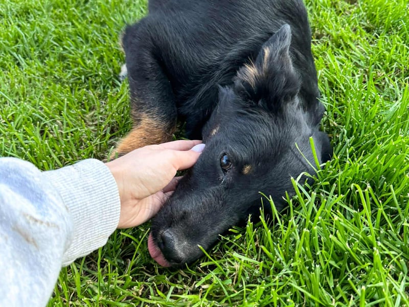 Nisha sucht Familienanschluss