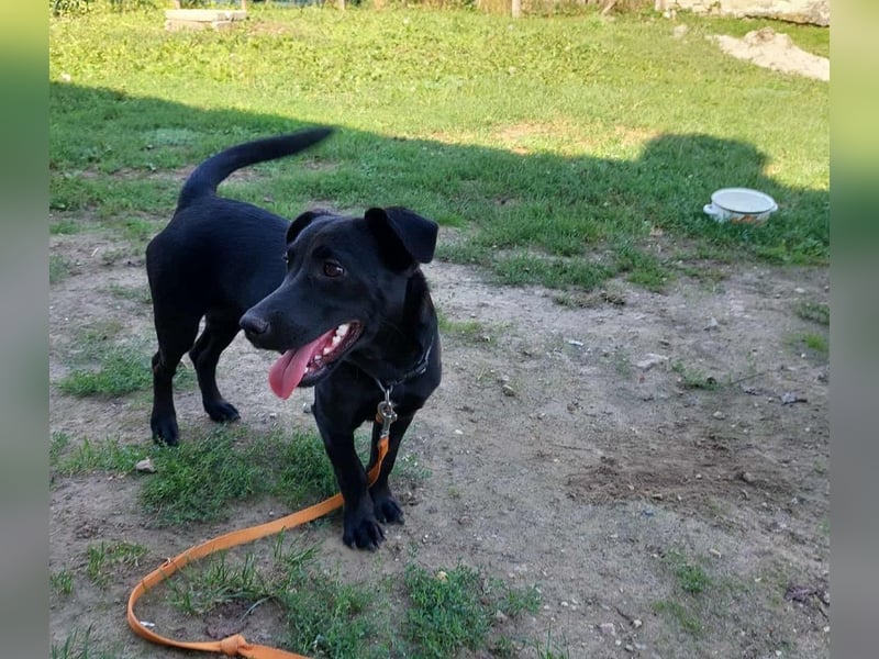 Elza sucht ein Zuhause
