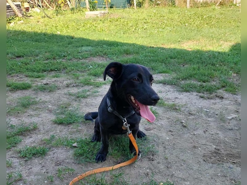 Elza sucht ein Zuhause