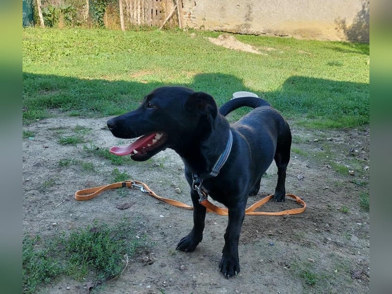 Elza sucht ein Zuhause