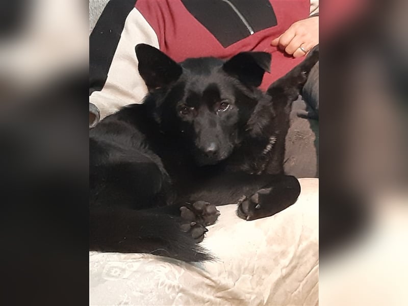 Blacky