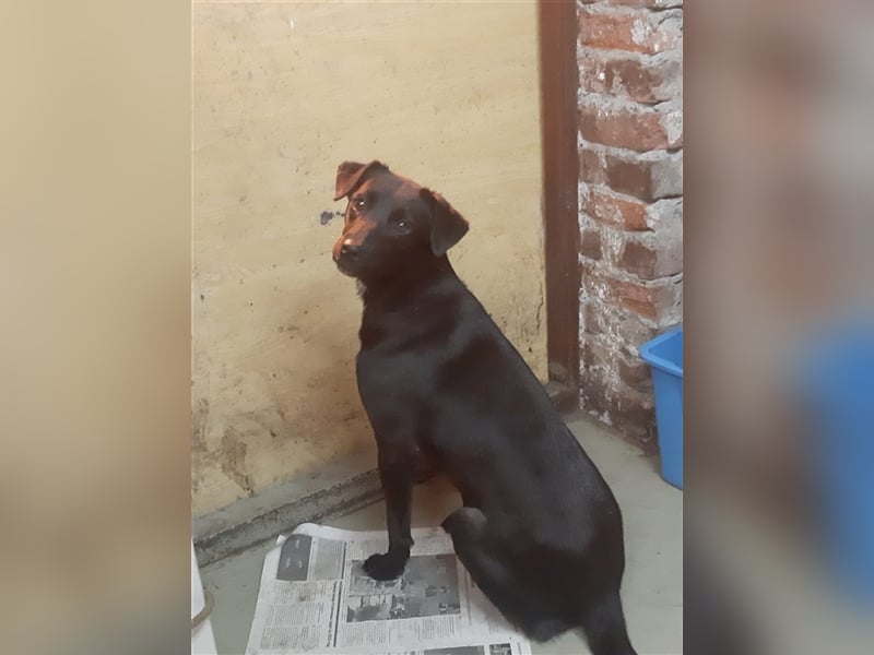 Tosca