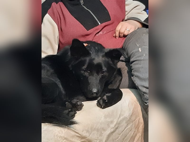 Blacky