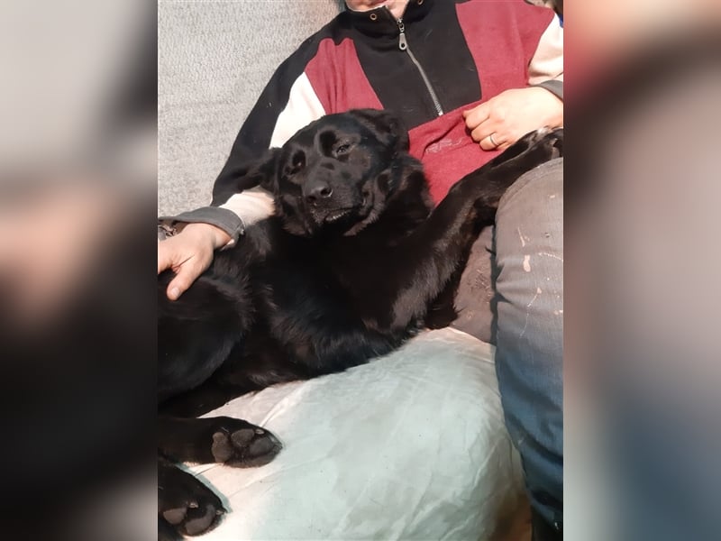 Blacky