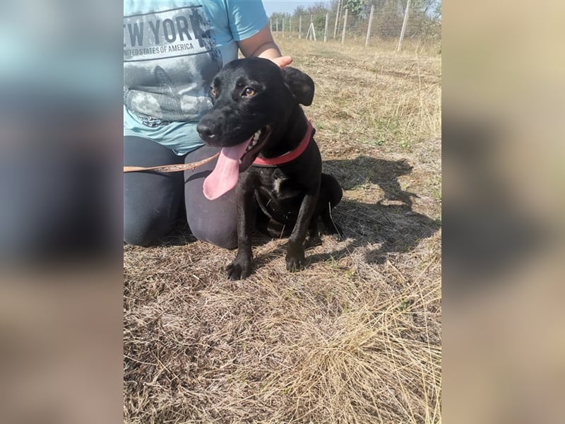 Gina, coole Socke sucht kuscheliges Körbchen (mit Video)