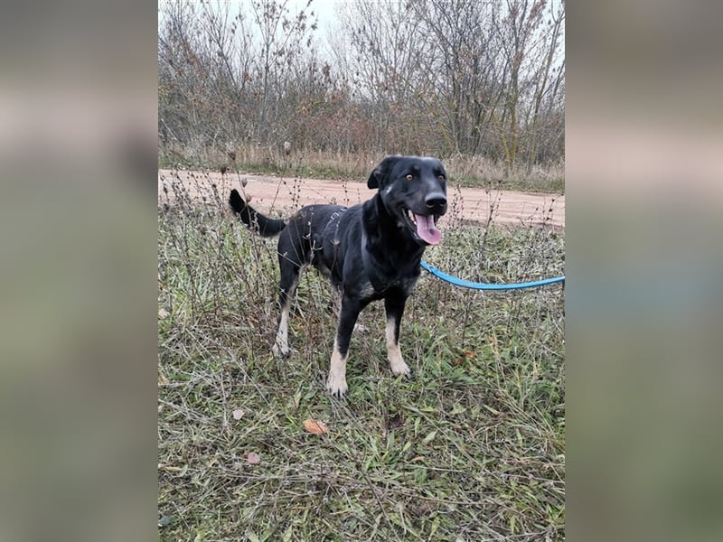 Alanie, aktive Menschen für gemeinsame Erlebnisse gesucht