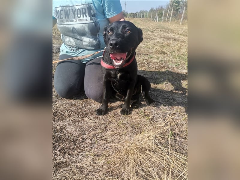Gina, coole Socke sucht kuscheliges Körbchen (mit Video)