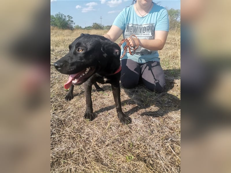 Gina, coole Socke sucht kuscheliges Körbchen (mit Video)