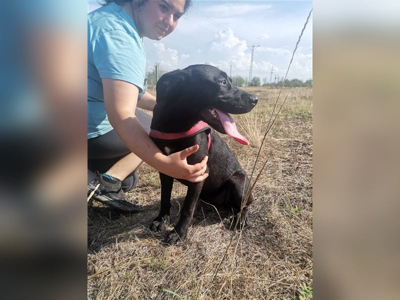 Gina, coole Socke sucht kuscheliges Körbchen (mit Video)