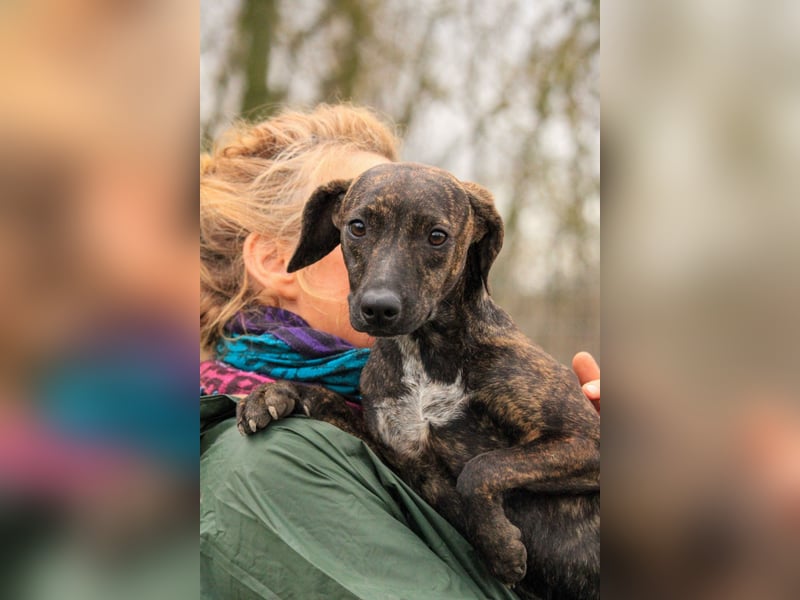 **RESERVIERT** Lidia-VA, liebevolles Zuhause gesucht