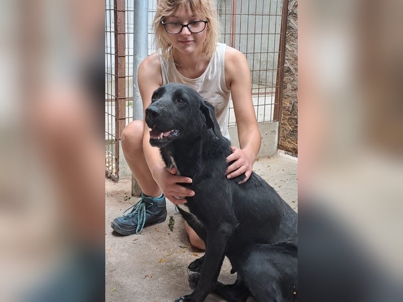 FATIME-ZUHAUSE GESUCHT