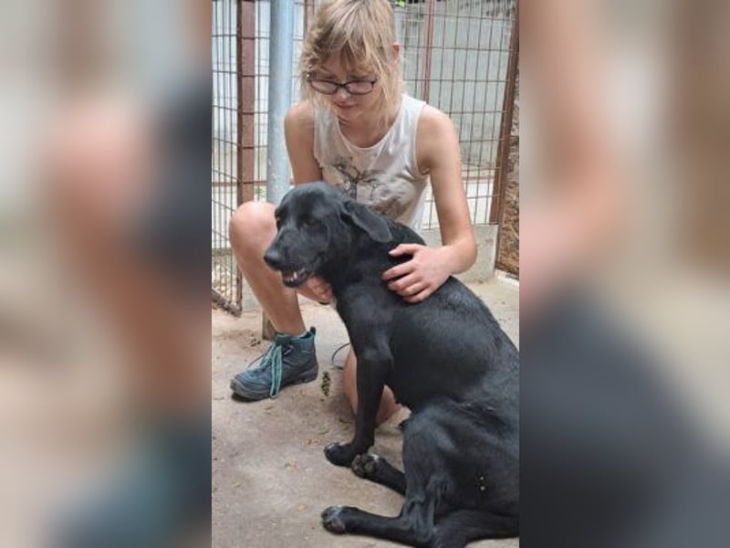 FATIME-ZUHAUSE GESUCHT
