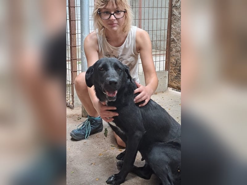 FATIME-ZUHAUSE GESUCHT
