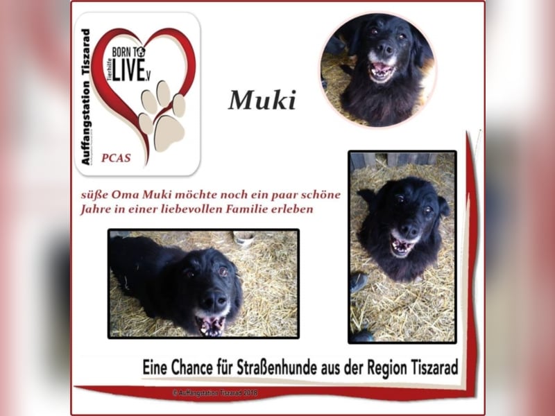 Muki