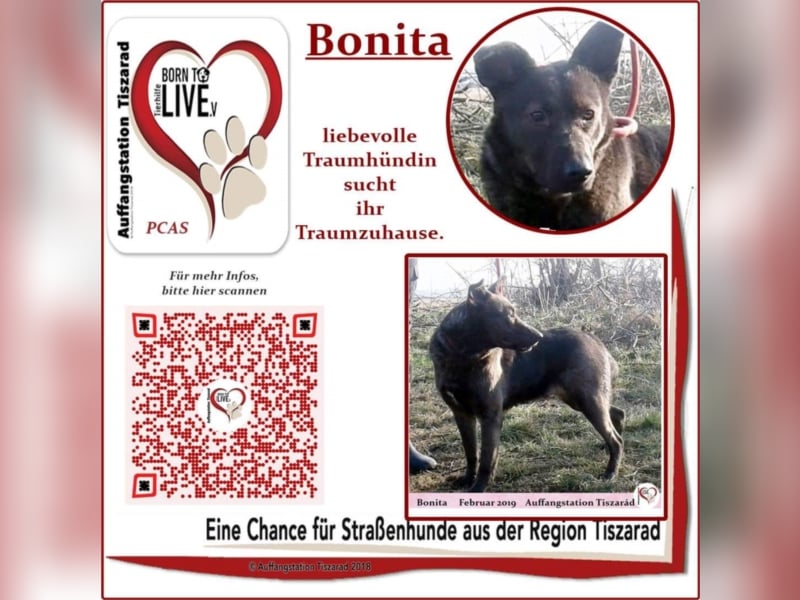 Bonita