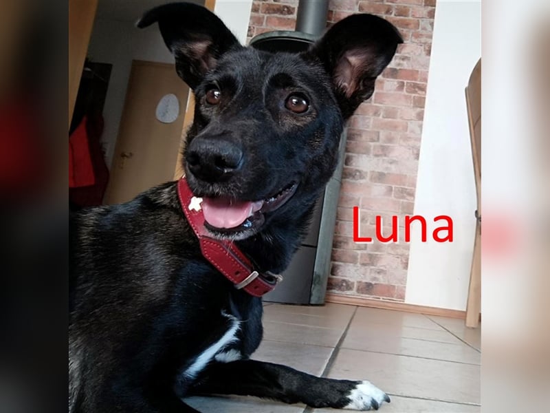 LUNA ❤  wartet in 55624 Oberkirn auf Dich