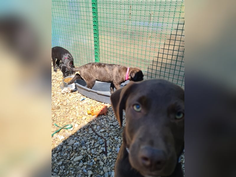 Amelia – Geboren, um Liebe zu finden