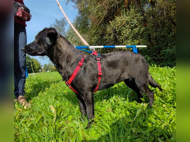 Amelia – Geboren, um Liebe zu finden
