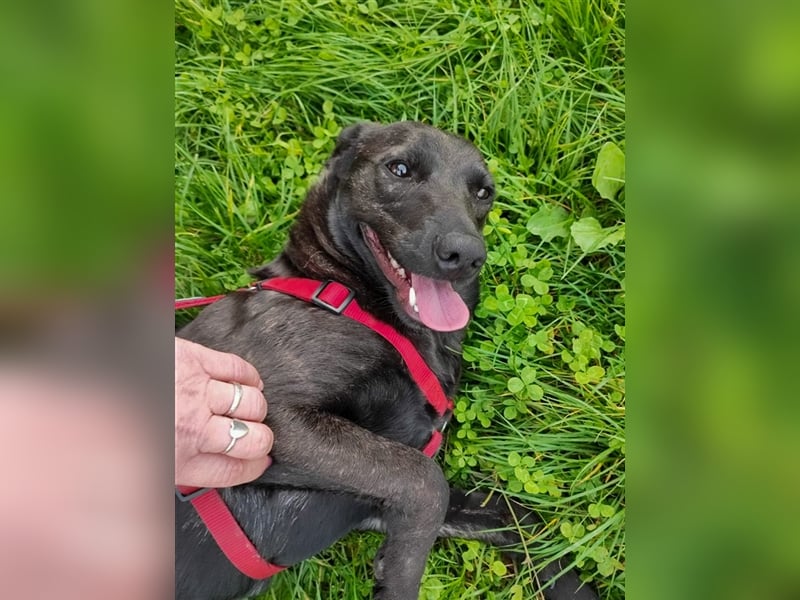 Amelia – Geboren, um Liebe zu finden