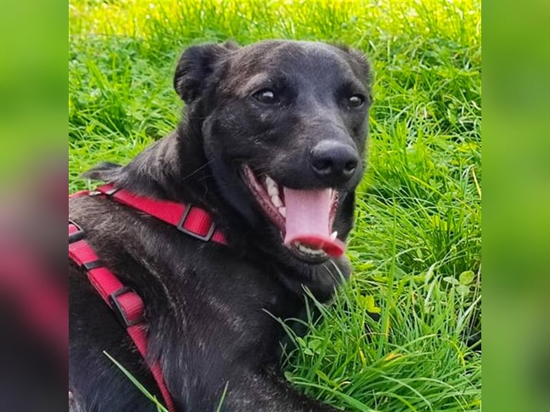 Amelia – Geboren, um Liebe zu finden