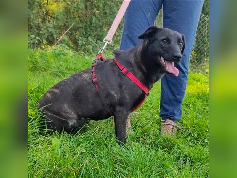 Amelia – Geboren, um Liebe zu finden