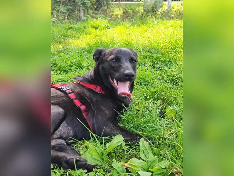 Amelia – Geboren, um Liebe zu finden