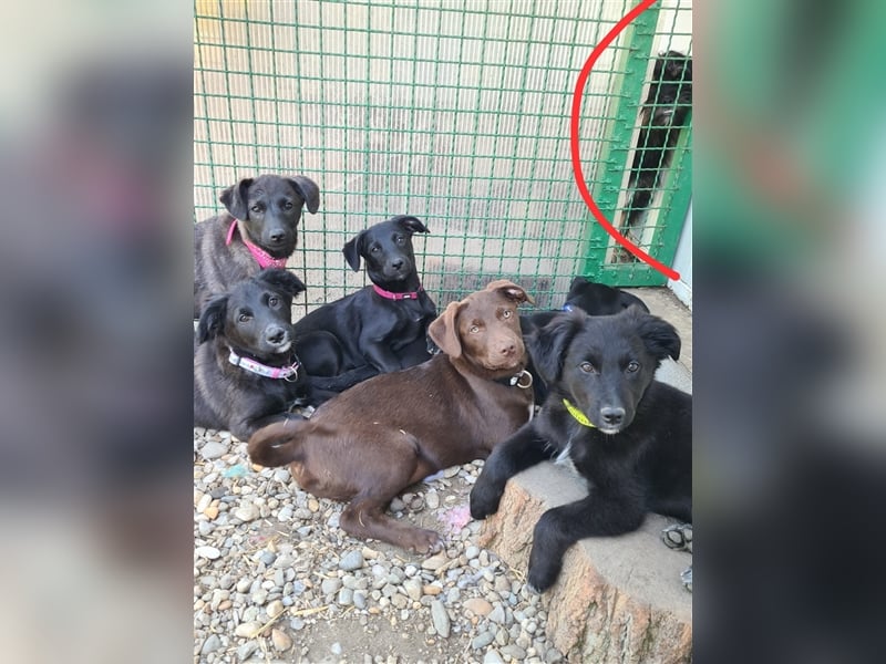 Amelia – Geboren, um Liebe zu finden