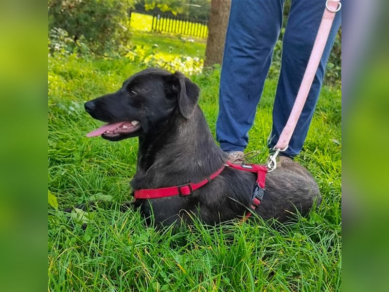 Amelia – Geboren, um Liebe zu finden