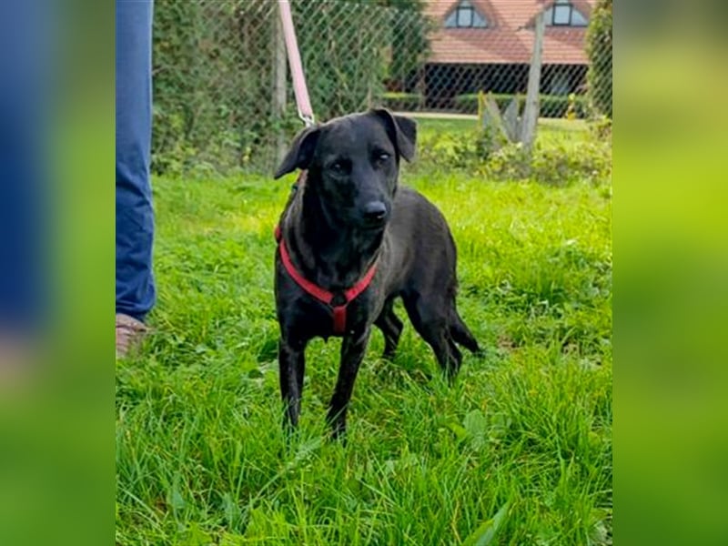 Amelia – Geboren, um Liebe zu finden