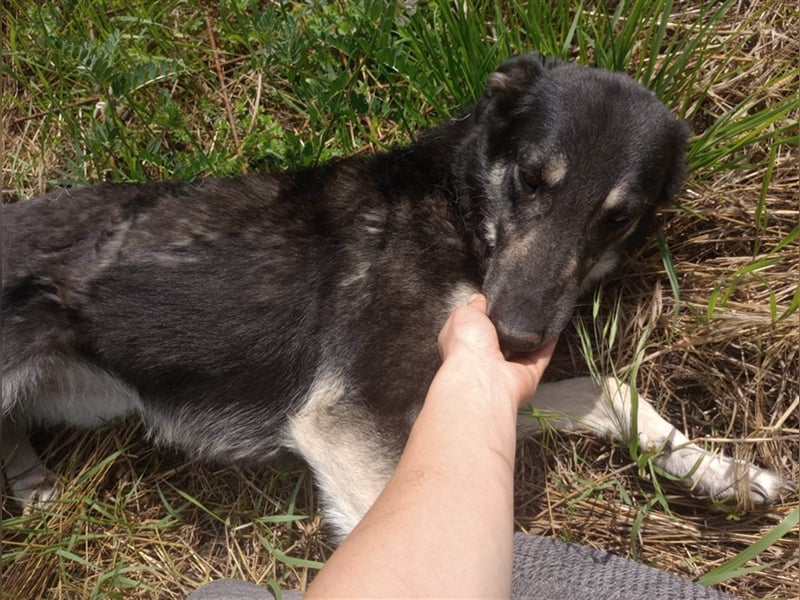 LOLA - hofft auf ihre große Chance