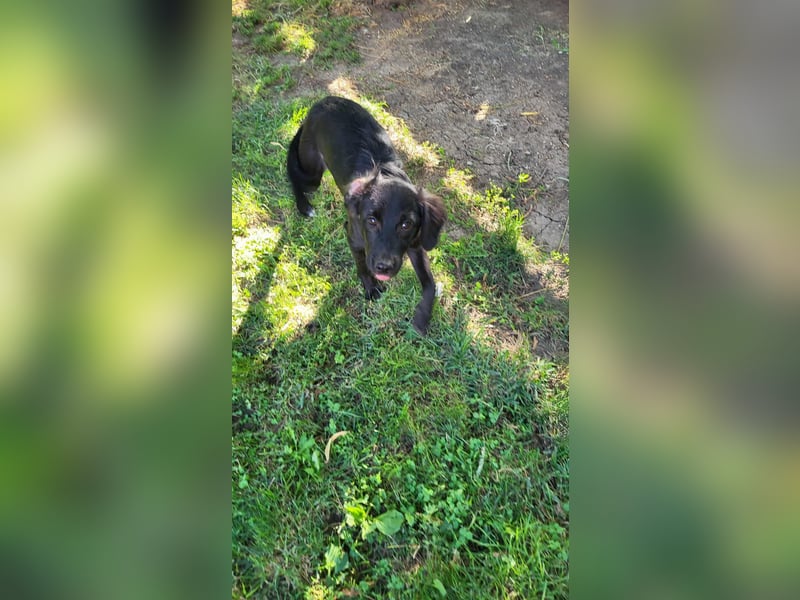 ZOEY - bringt Lebensfreude ins Haus