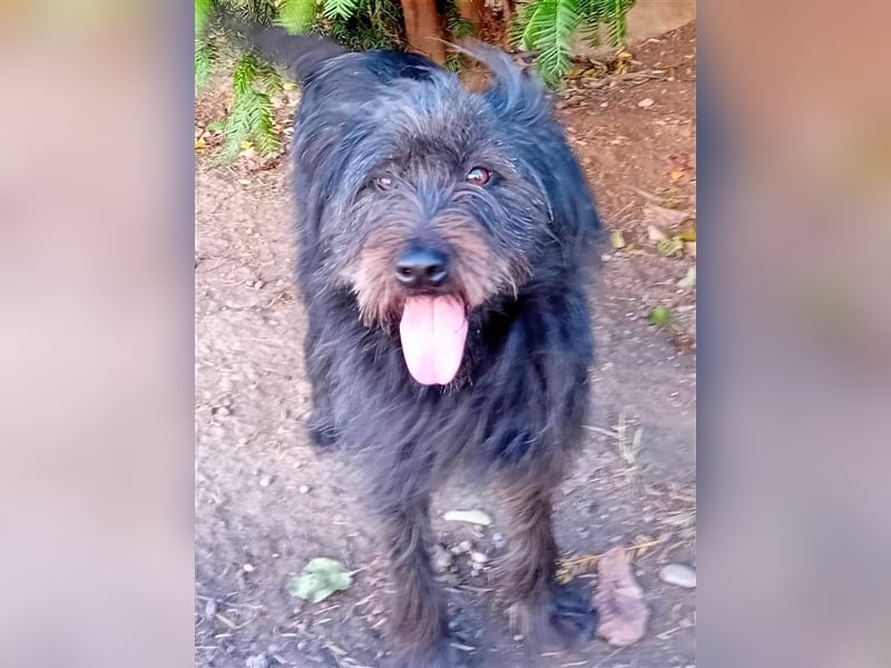 FRANZI - wer gibt ihr endlich eine Chance?