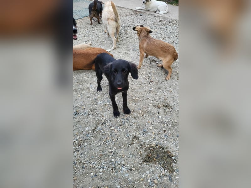ZOEY - bringt Lebensfreude ins Haus