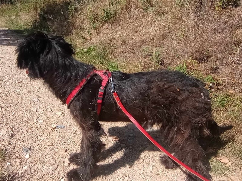 ABBY - wo darf sie glücklich werden?