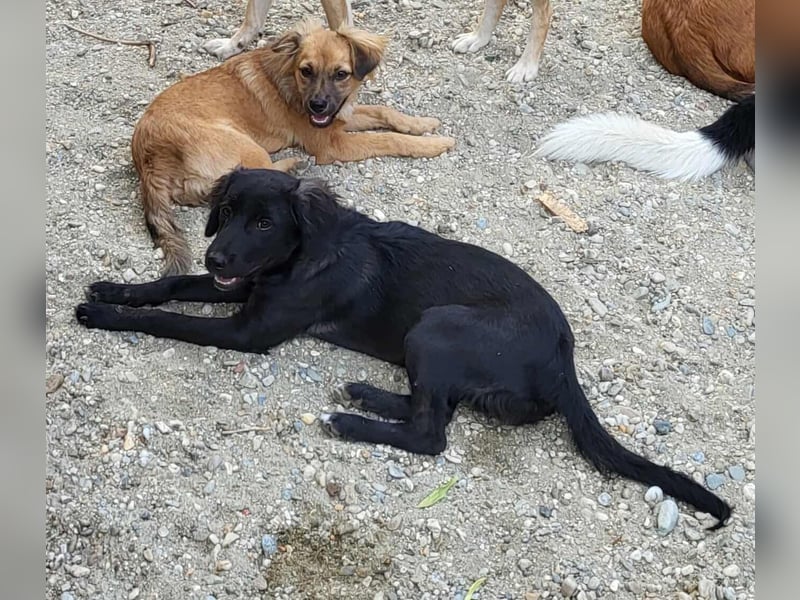 ZOEY - bringt Lebensfreude ins Haus