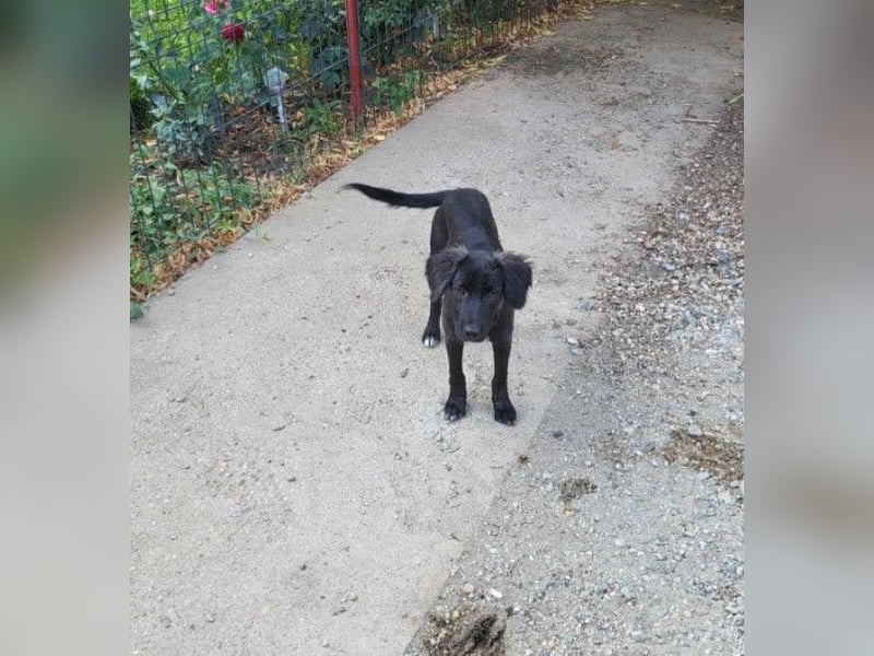 ZOEY - bringt Lebensfreude ins Haus