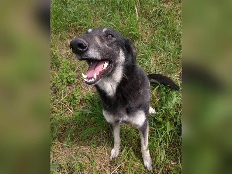 LOLA - hofft auf ihre große Chance