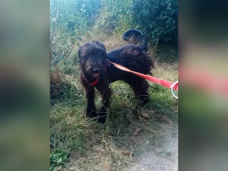 ABBY - wo darf sie glücklich werden?