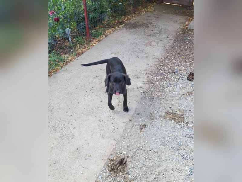 ZOEY - bringt Lebensfreude ins Haus