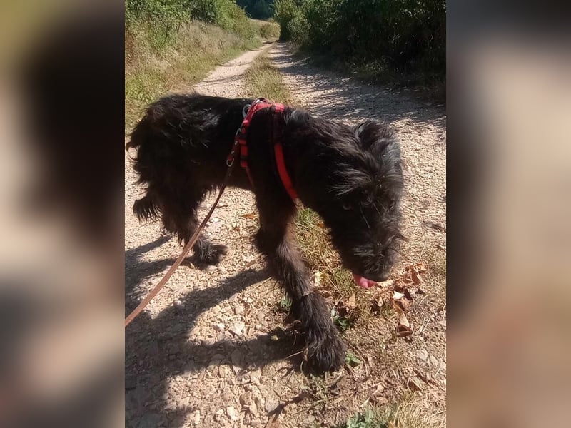ABBY - wo darf sie glücklich werden?
