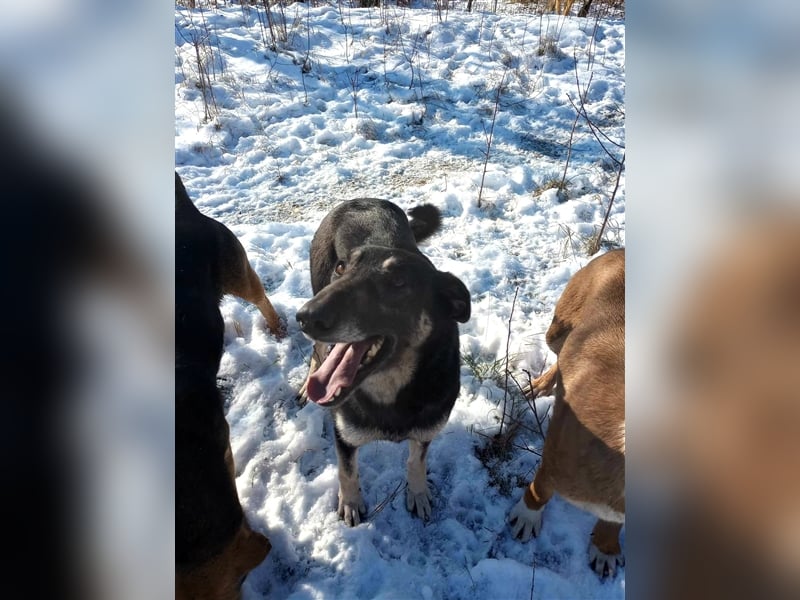 LOLA - hofft auf ihre große Chance