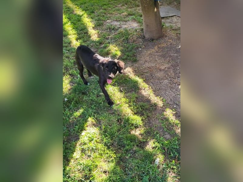 ZOEY - bringt Lebensfreude ins Haus