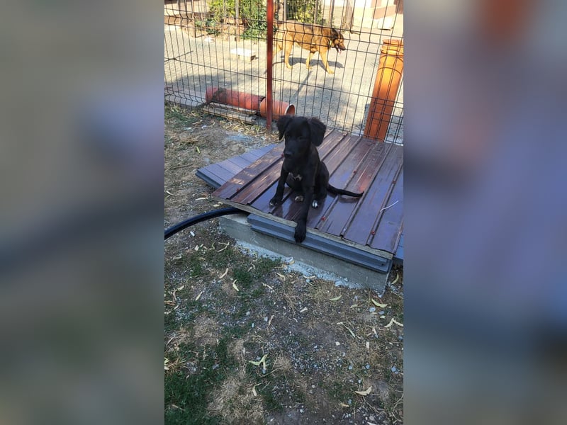 ZOEY - bringt Lebensfreude ins Haus