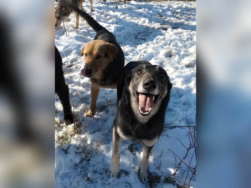 LOLA - hofft auf ihre große Chance
