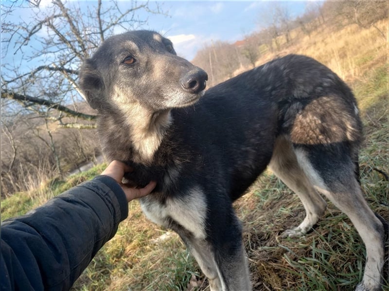 LOLA - hofft auf ihre große Chance