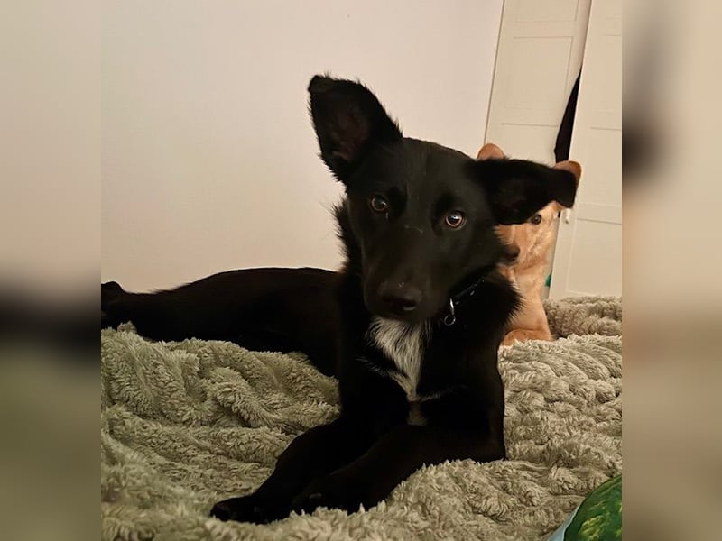 Enya sucht die menschliche Nähe