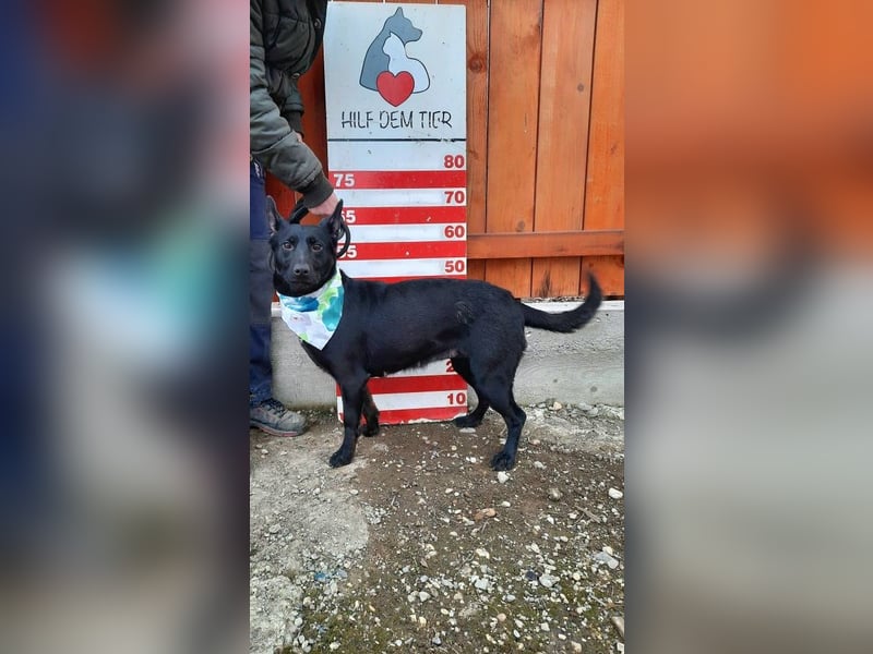 Gretka ist sehr menschenverliebt