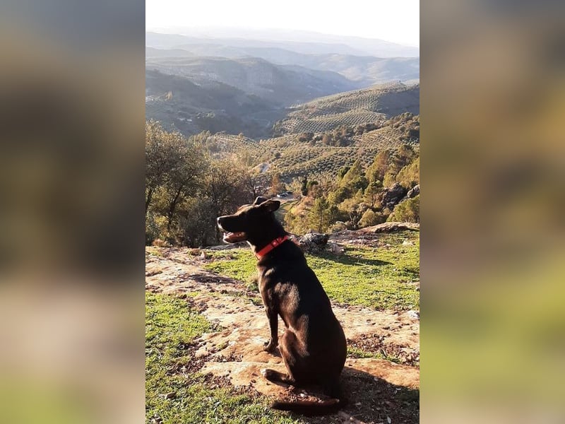 Aria ist ein Rohdiamant