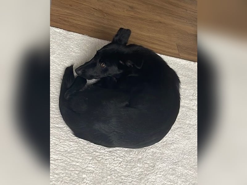 Enya sucht die menschliche Nähe